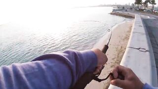 Doha Corniche milkfish как удержать на крючке и не слить у камней