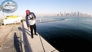 Doha Corniche 16.02.2022, прогулка вдоль воды и тихая ловля у камней