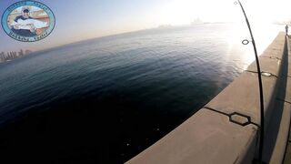 Doha Corniche 16.02.2022, прогулка вдоль воды и тихая ловля у камней