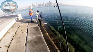 Doha Corniche 16.02.2022, прогулка вдоль воды и тихая ловля у камней