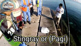 Doha Corniche 16.02.2022, прогулка вдоль воды и тихая ловля у камней