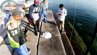 Doha Corniche 16.02.2022, прогулка вдоль воды и тихая ловля у камней
