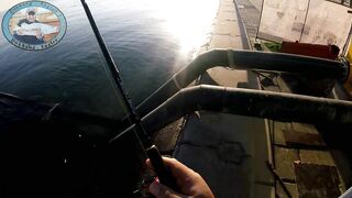 Doha Corniche 16.02.2022, прогулка вдоль воды и тихая ловля у камней