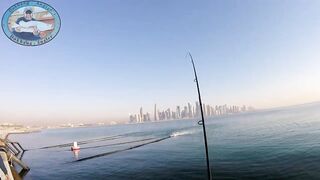 Doha Corniche 16.02.2022, прогулка вдоль воды и тихая ловля у камней