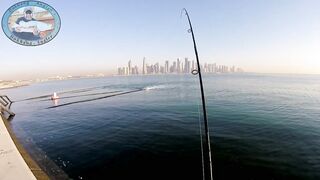 Doha Corniche 16.02.2022, прогулка вдоль воды и тихая ловля у камней