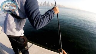 Doha Corniche 16.02.2022, прогулка вдоль воды и тихая ловля у камней