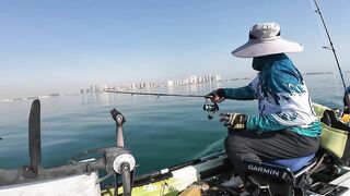 Doha Qatar/Доха каяк троллинг с Maguro samurai v2 PE1-3 на море