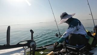 Doha Qatar/Доха каяк троллинг с Maguro samurai v2 PE1-3 на море