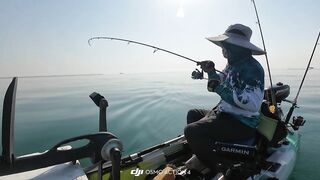 Doha Qatar/Доха каяк троллинг с Maguro samurai v2 PE1-3 на море