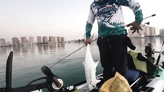 Doha Qatar/Доха каяк троллинг с Maguro samurai v2 PE1-3 на море