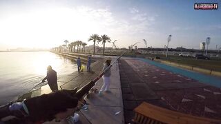 морская рыбалка в Doha Corniche (Qatar) shore jigging и кастинг с берега