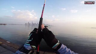 морская рыбалка в Doha Corniche (Qatar) shore jigging и кастинг с берега