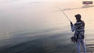 морская рыбалка в Doha Corniche (Qatar) shore jigging и кастинг с берега