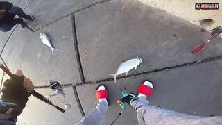 морская рыбалка в Doha Corniche (Qatar) shore jigging и кастинг с берега