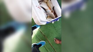 Ultimate Action.. fishing at Doha