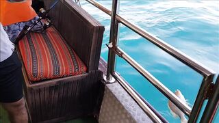 Ultimate Action.. fishing at Doha