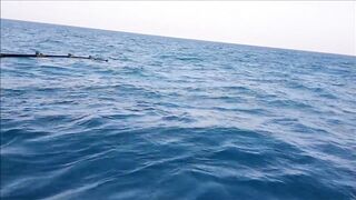 Ultimate Action.. fishing at Doha