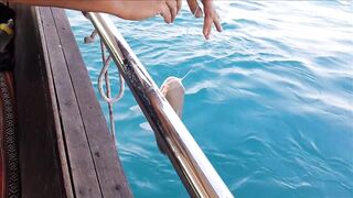 Ultimate Action.. fishing at Doha