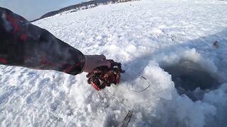Ловля сахалинских крабов морские деликатесы прямо из подсака