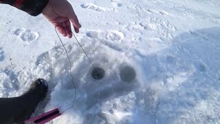 Ловля сахалинских крабов морские деликатесы прямо из подсака