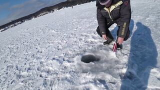 Ловля сахалинских крабов морские деликатесы прямо из подсака