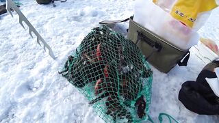 Ловля сахалинских крабов морские деликатесы прямо из подсака