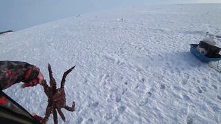 Ловля сахалинских крабов морские деликатесы прямо из подсака