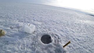 Ловля сахалинских крабов морские деликатесы прямо из подсака