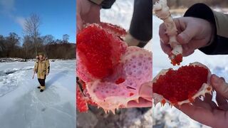 Приморский край, как ловят краба и почему на западе о таком мечтают