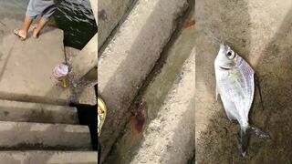 ตกปลา ท่าเรือควนต่อ จังหวัดกระบี่