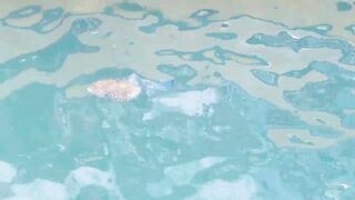 морская рыбалка в sharmelsheikh где точка и как не промахнуться по времени