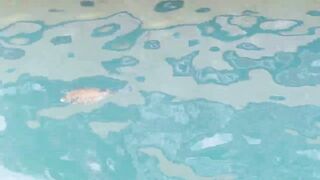 морская рыбалка в sharmelsheikh где точка и как не промахнуться по времени