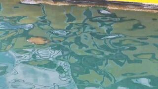 морская рыбалка в sharmelsheikh где точка и как не промахнуться по времени