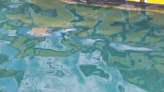 морская рыбалка в sharmelsheikh где точка и как не промахнуться по времени