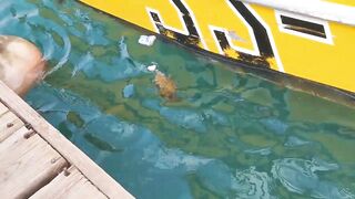 морская рыбалка в sharmelsheikh где точка и как не промахнуться по времени