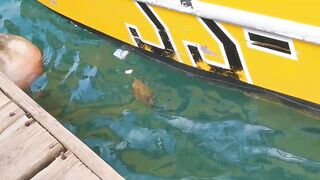 морская рыбалка в sharmelsheikh где точка и как не промахнуться по времени