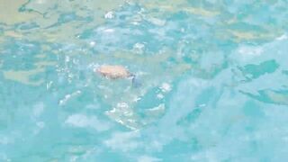 морская рыбалка в sharmelsheikh где точка и как не промахнуться по времени