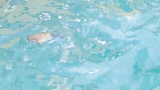 морская рыбалка в sharmelsheikh где точка и как не промахнуться по времени