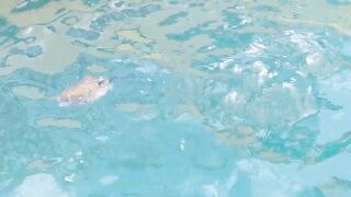 морская рыбалка в sharmelsheikh где точка и как не промахнуться по времени