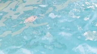 морская рыбалка в sharmelsheikh где точка и как не промахнуться по времени