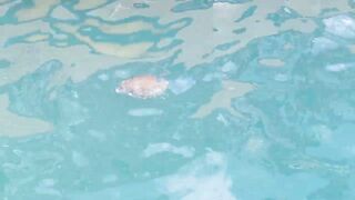 морская рыбалка в sharmelsheikh где точка и как не промахнуться по времени