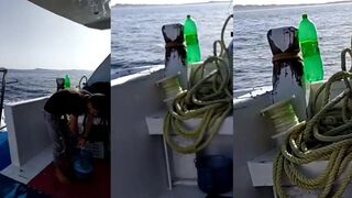 Египет Шарм эль Шейх 2022 выход к рифу и клев у берега