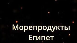 морская рыбалка в Шарм-эль-Шейх стоит ли выходить в море и когда клев?