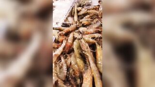 морская рыбалка в Шарм-эль-Шейх стоит ли выходить в море и когда клев?