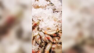 морская рыбалка в Шарм-эль-Шейх стоит ли выходить в море и когда клев?