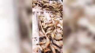 морская рыбалка в Шарм-эль-Шейх стоит ли выходить в море и когда клев?