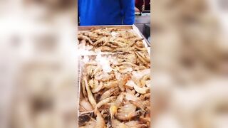 морская рыбалка в Шарм-эль-Шейх стоит ли выходить в море и когда клев?