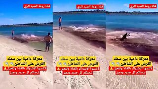 На пляже бой акул معركة دامية кто кого и почему это так близко?