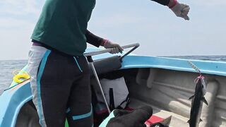 Sri Lanka/Шри-Ланка: монстры Индийского океана и съемка на нервах