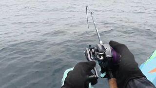 Sri Lanka/Шри-Ланка: монстры Индийского океана и съемка на нервах